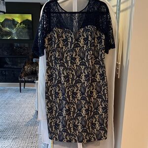 Next Direct Navy Lace Overlay Midi Dress with Cream Lining